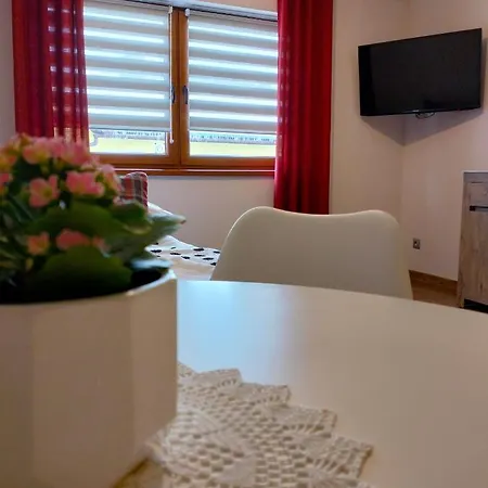 公寓 Debowy Apartamenty/pokoje *