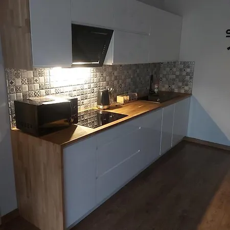 Debowy Apartment *