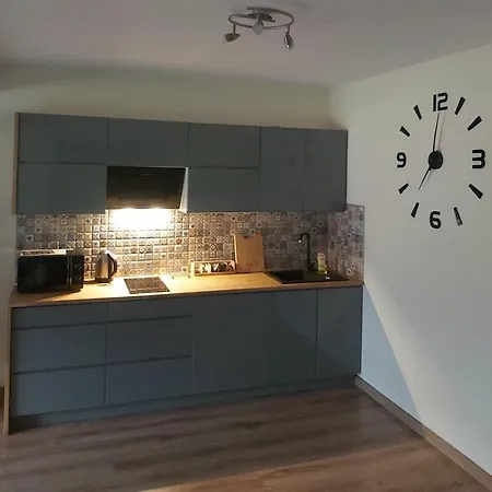 公寓 Debowy Apartamenty/pokoje Debno (Nowy Targ)