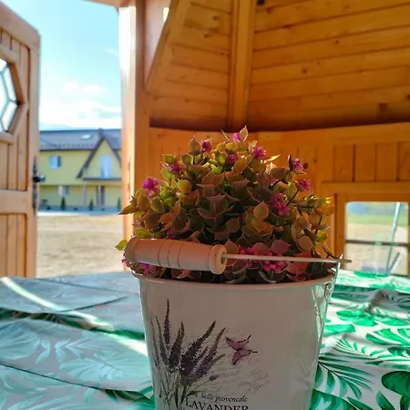 Debowy Apartamenty/pokoje *