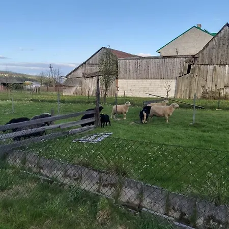 Debowy Apartamenty/pokoje