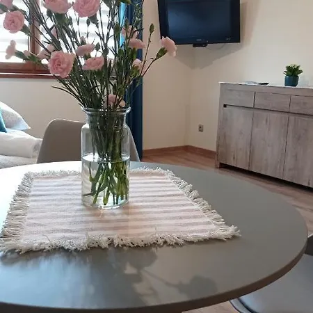 Debowy Apartment