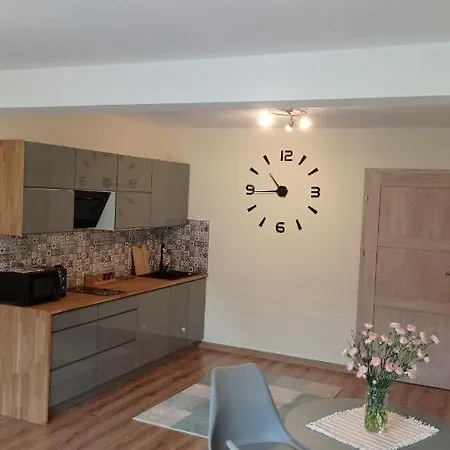 Debowy Apartamenty/pokoje