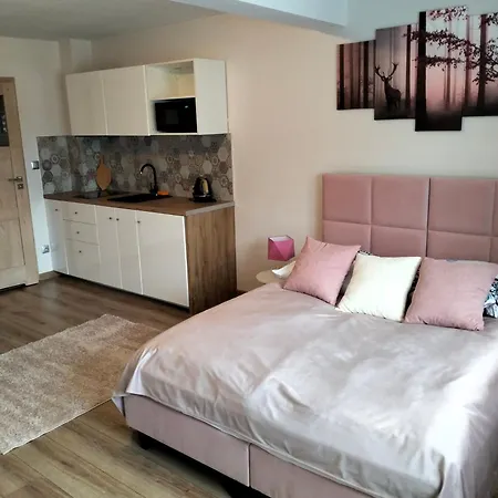 公寓 Debowy Apartamenty/pokoje