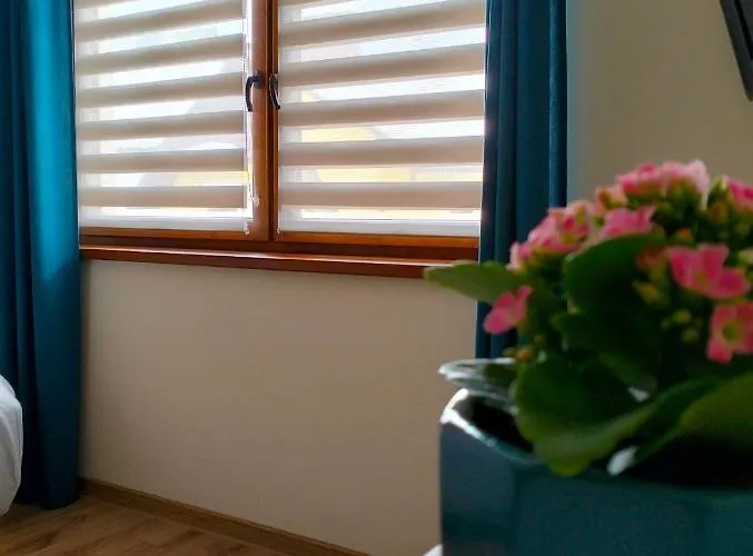 Debowy Apartamenty/pokoje