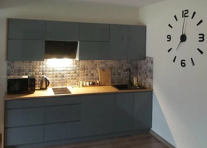 Apartment Debowy Apartamenty/pokoje Debno (Nowy Targ)