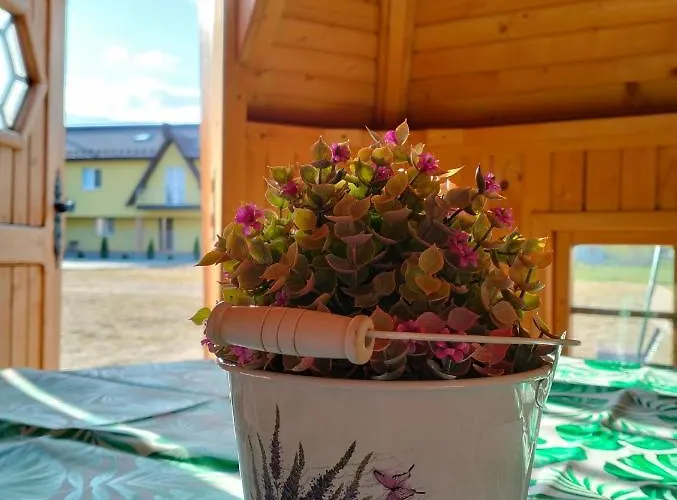 Debowy Apartamenty/pokoje *