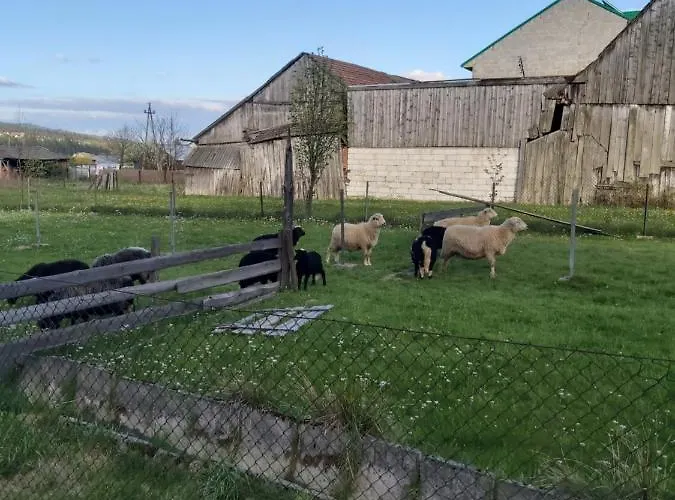 Debowy Apartamenty/pokoje