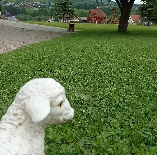 Debowy Apartamenty/pokoje