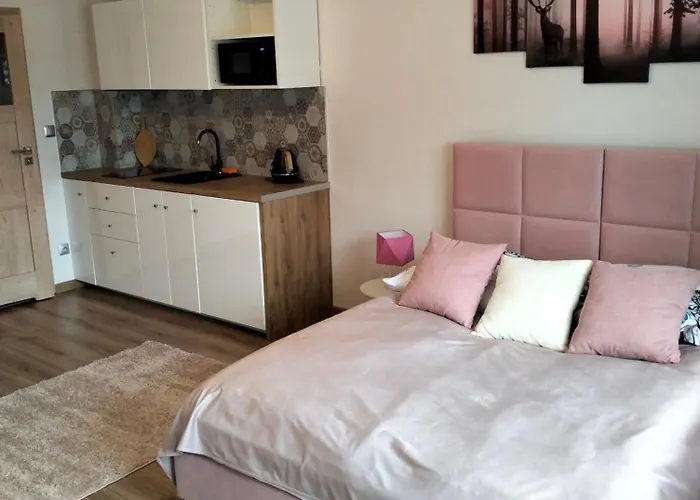 Apartment Debowy Apartamenty/pokoje